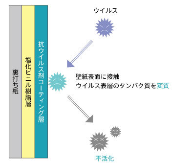 抗ウイルスクロス